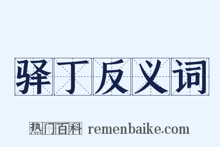 驿丁反义词是什么意思的图片